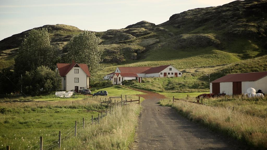 Sel Guesthouse Skálholt Exteriör bild