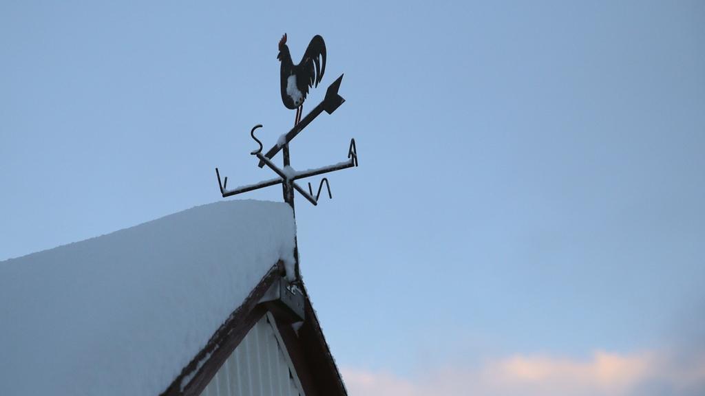 Sel Guesthouse Skálholt Exteriör bild